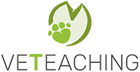 VeTeaching