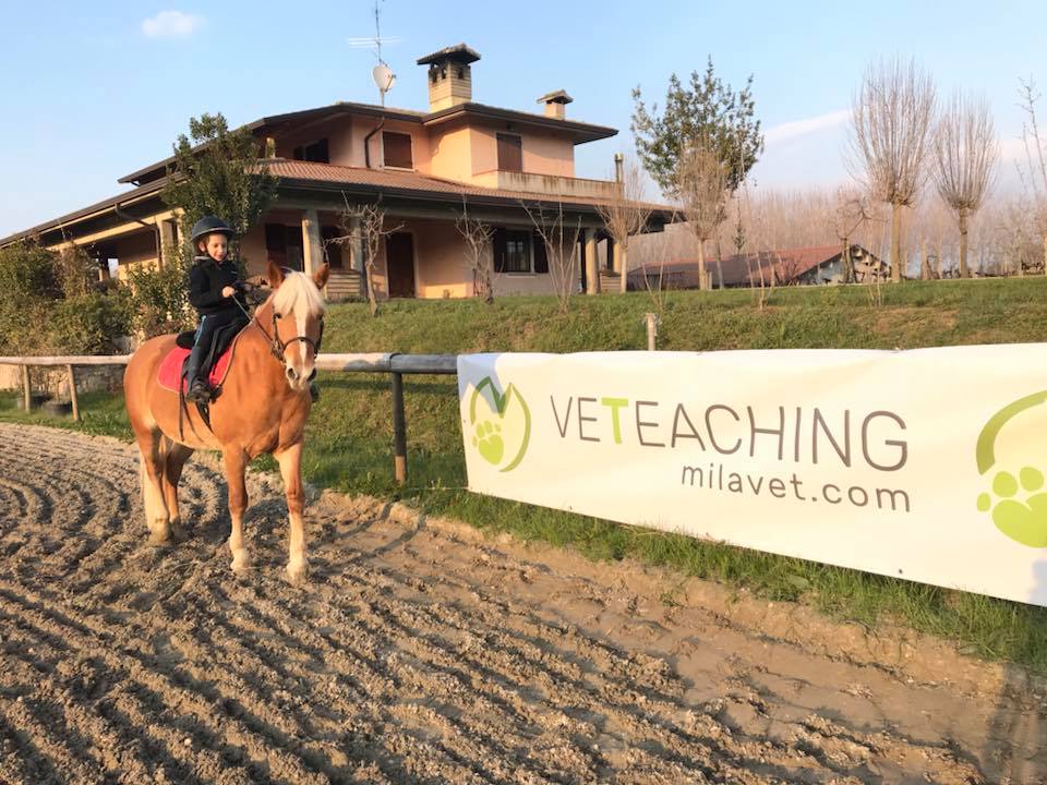 veteaching
